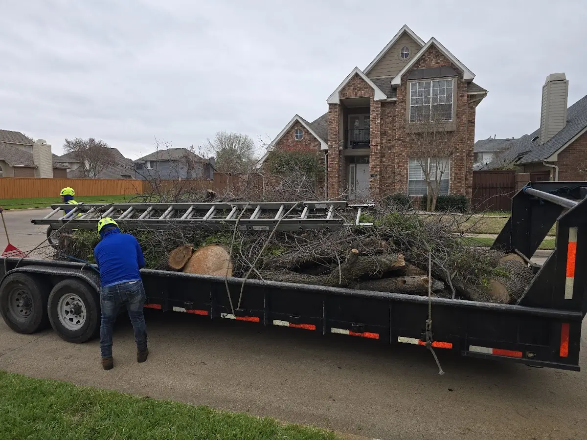 Expert Tree Pest Control with proper safety equipment in Walden